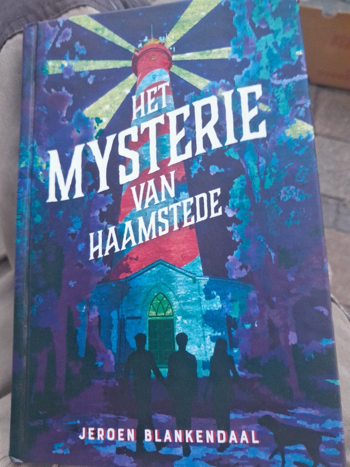Jeroen Blankendaal - Het mysterie van Haamstede, Boeken, Ophalen of Verzenden, Zo goed als nieuw, Jeroen Blankendaal