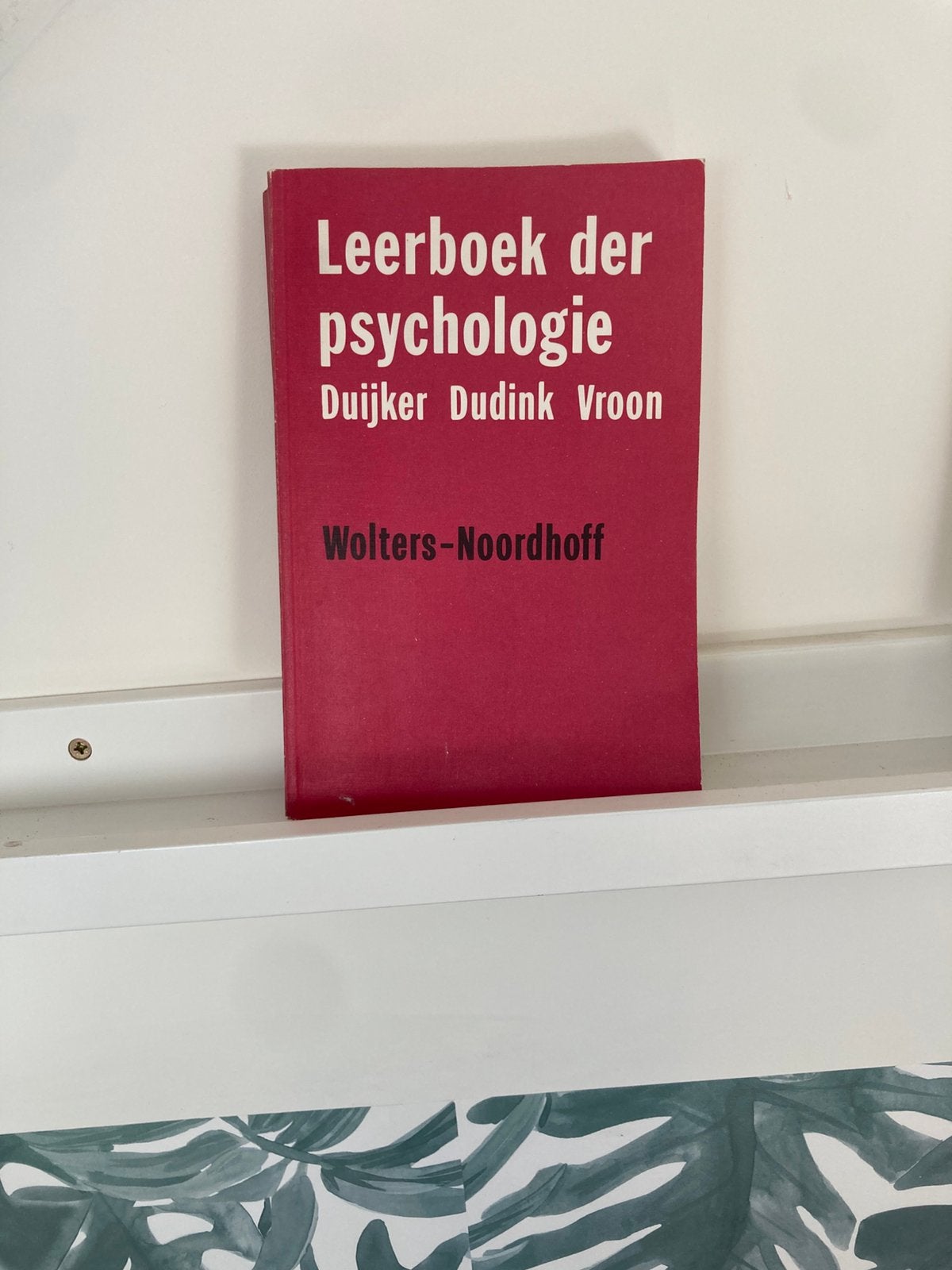 Vintage leerboek der psychologie 1981 Duijker Dudink Vroon, Ophalen of Verzenden, Gelezen, Sociale wetenschap