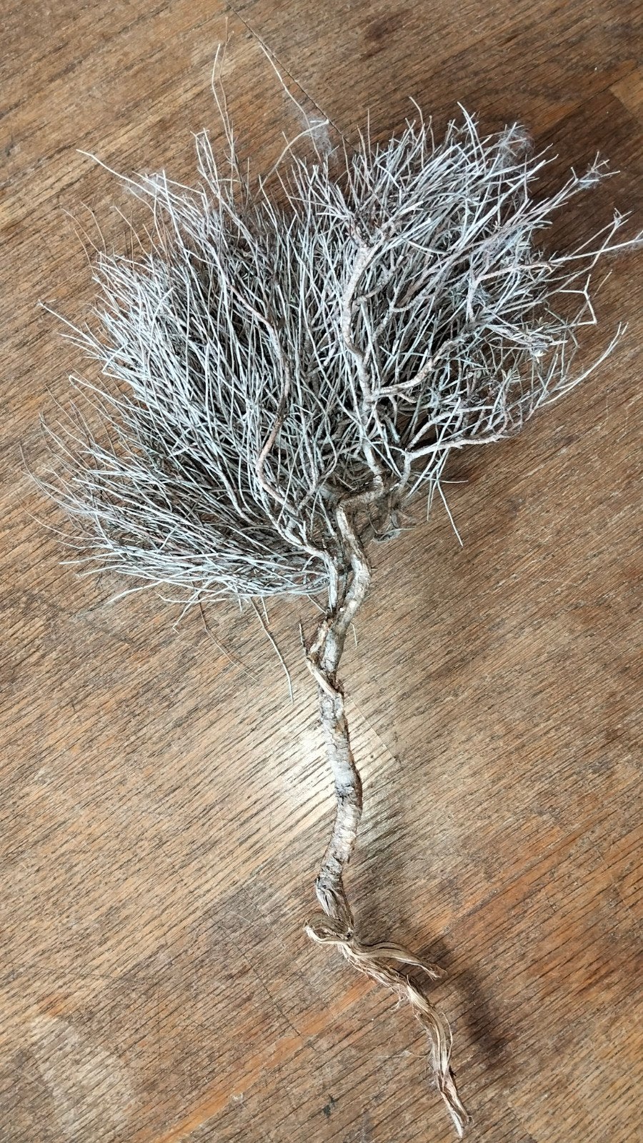 Klein bosje gedroogde takken, Huis en Inrichting, Woonaccessoires | Droogbloemen, Gebruikt, ., Ophalen of Verzenden, .
