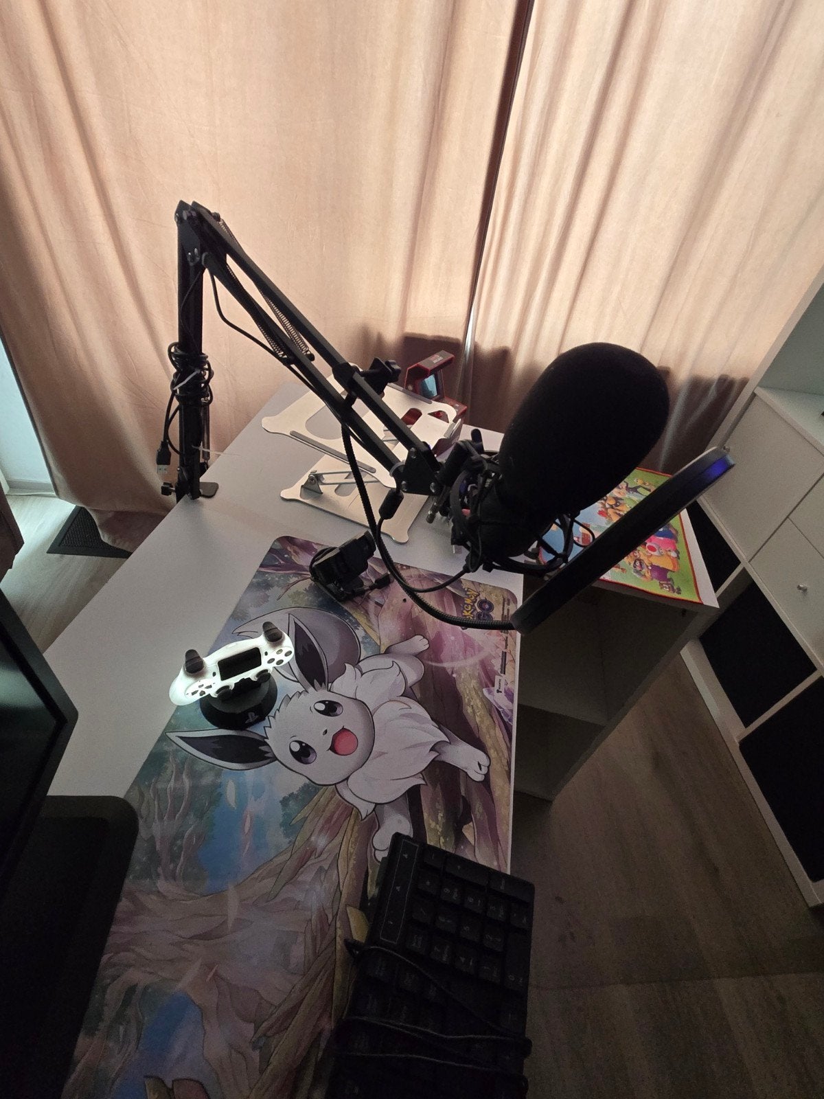 Gaming Setup:Bureaustoel, Monitor, Microfoon, Neon Verlichti, Ophalen of Verzenden, Zo goed als nieuw