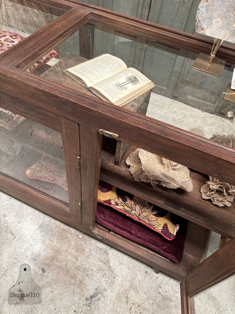 Antieke museumtoonbank winkelvitrine ca. 1920, Antiek en Kunst, Ophalen