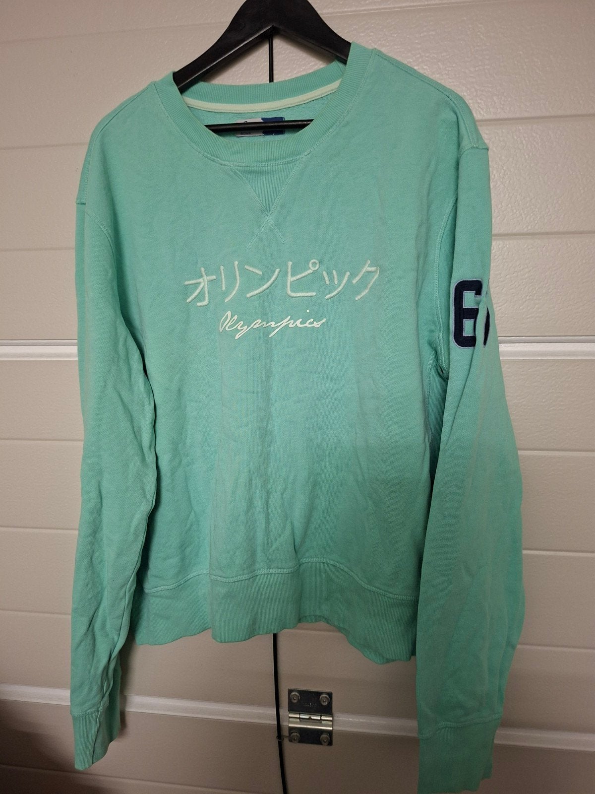 Lewis & Clark Trui Maat XL Okselmaat 60 - Mintgroen, Maat 56/58 (XL), Ophalen of Verzenden, Gedragen, Groen