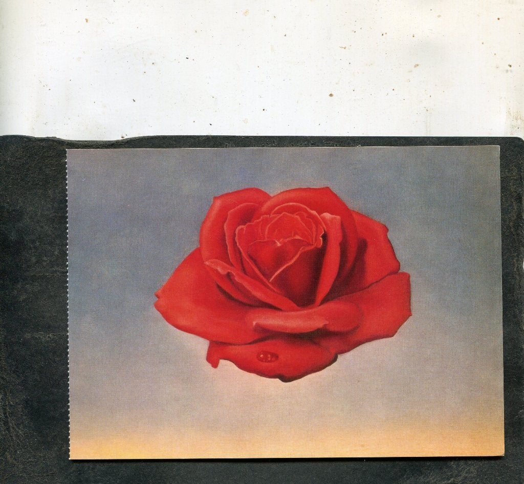 Ansicht Salvador Dali - Meditative Rose, Verzenden, 1980 tot heden, Ongelopen