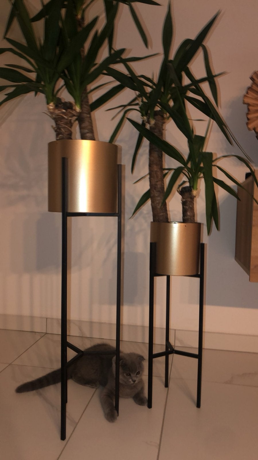 Set van 2 gouden plantenbakken met zwarte standaards, Tuin en Terras, Bloembakken en Plantenbakken, Ophalen, Minder dan 60 cm