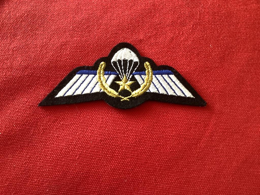 In nieuwstaat een Para Wing, Ophalen, Landmacht, Nederland, Embleem of Badge