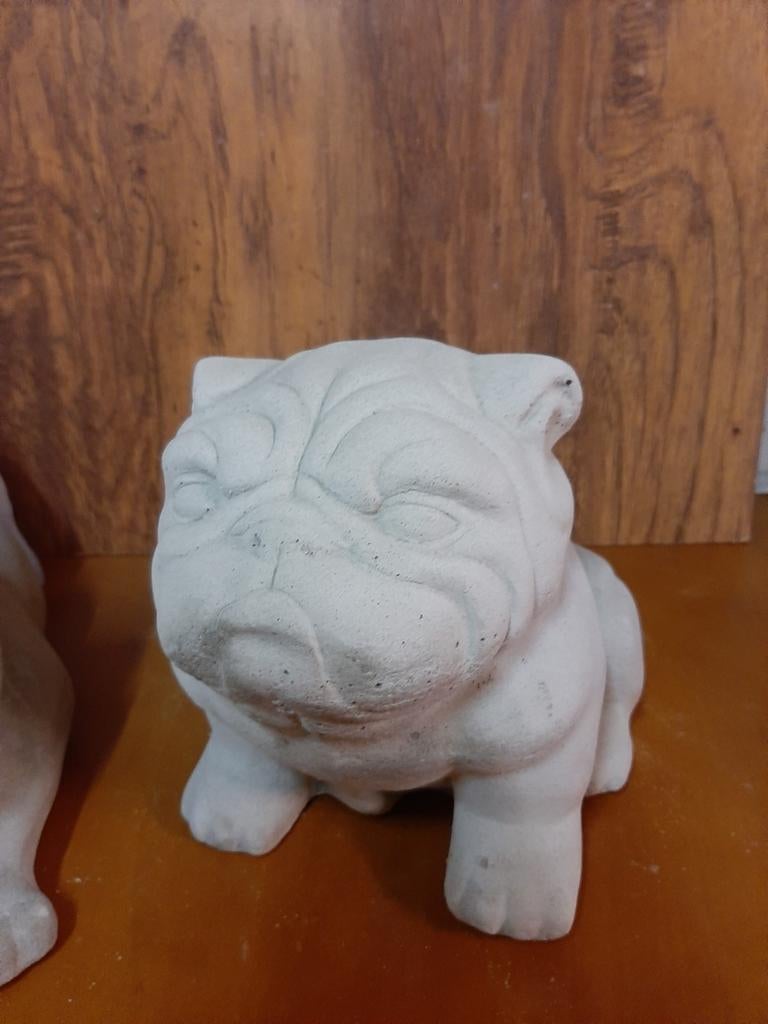 Leuke betonnen bulldog zittende, Ophalen, Nieuw, Dier
