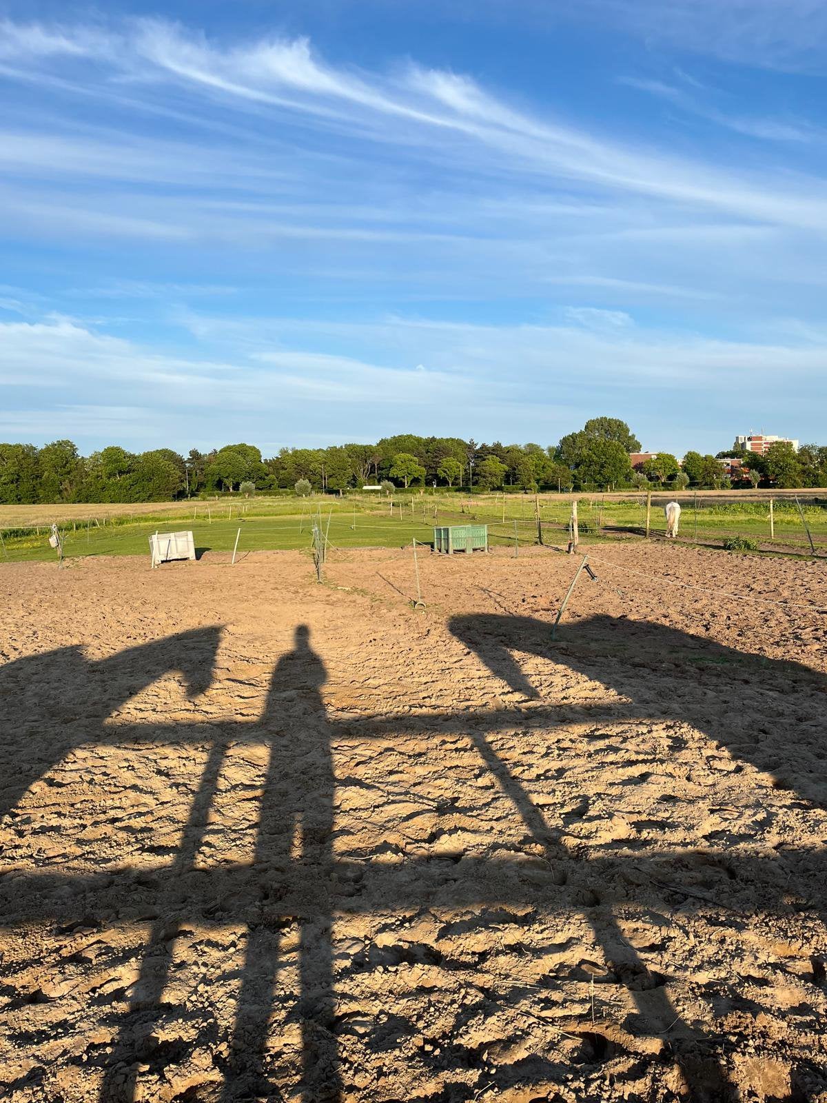 Plek vrij op stal Santpoort-Zuid/Haarlem per 1 augustus ’26, Weidegang, 1 paard of pony