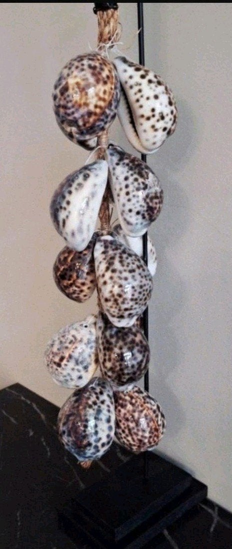 Tijgerschelpen ketting bruin groot op zwarte voet japandi, Nieuw, Ophalen of Verzenden, X, X
