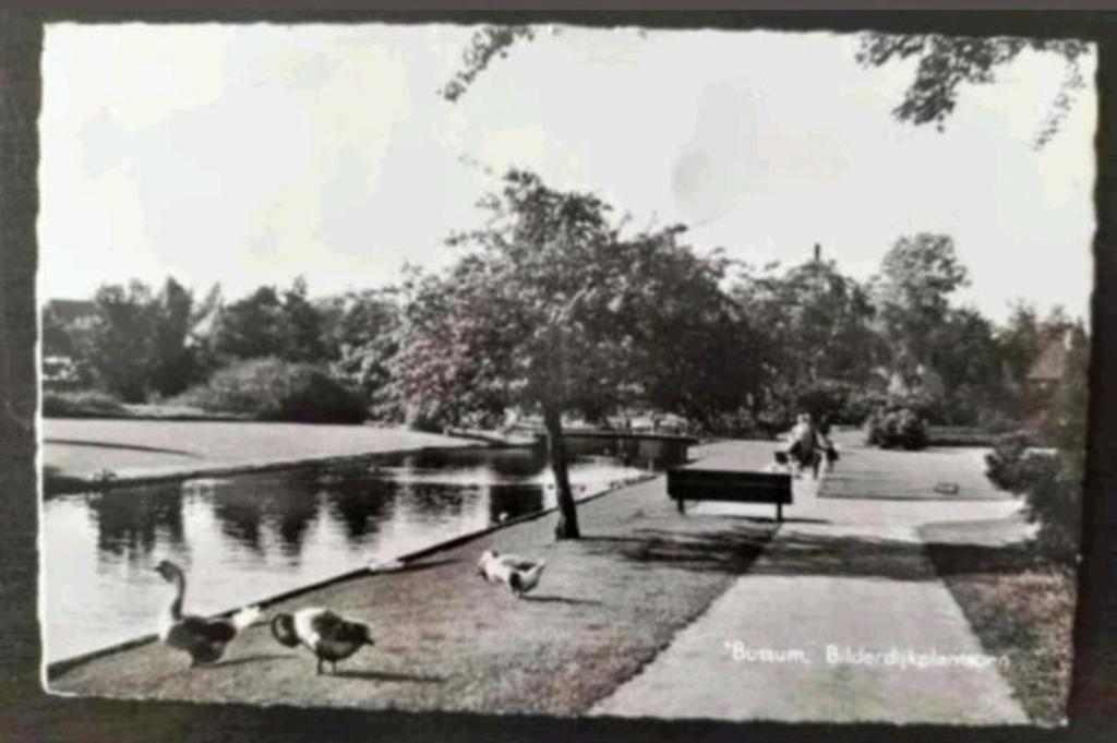 Bussum - Bilderdijkplantsoen (tuin architect D.F. Tersteeg), Verzamelen, Ansichtkaarten | Nederland, Ophalen of Verzenden, 1960 tot 1980
