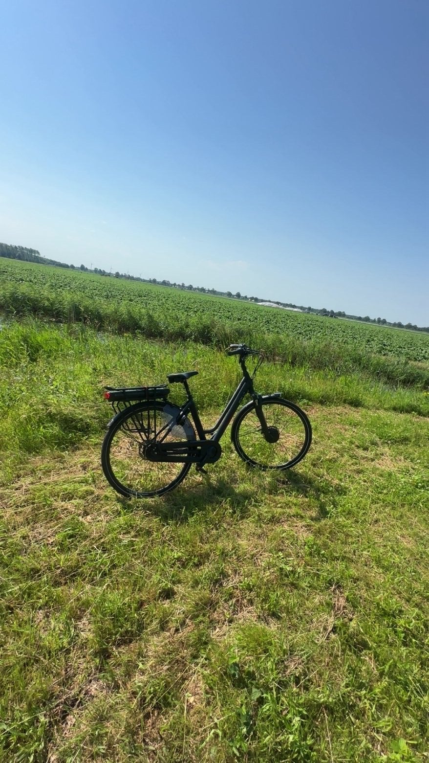 Stella Vicenza elektrische fiets, Ophalen of Verzenden