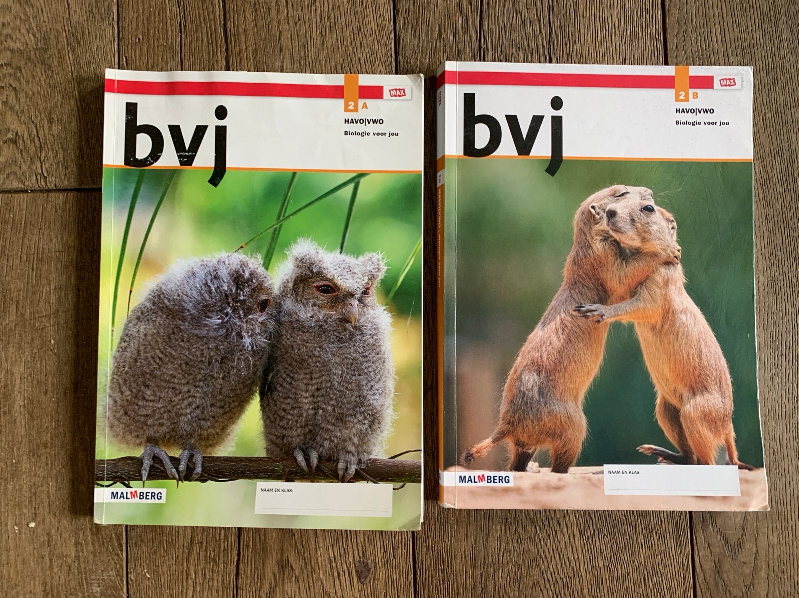 Biologie voor jou 2A en 2B HAVO/VWO Malmberg, Ophalen of Verzenden, Gelezen, HAVO, Biologie