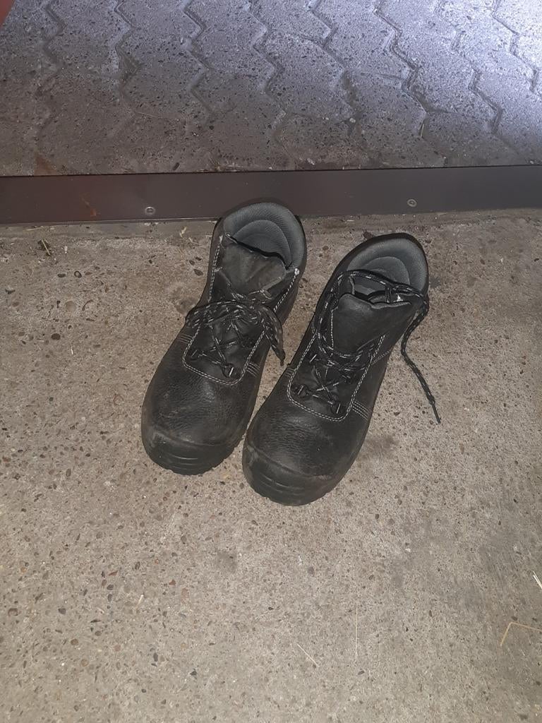 Werkschoenen maat 37, Ophalen of Verzenden, Nieuw
