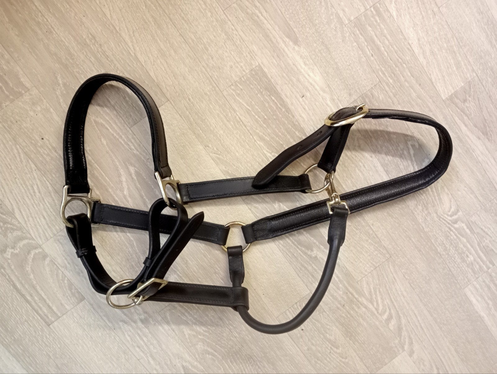 Nieuw zwart leren halster met goudkleurige gespen mt full, Dieren en Toebehoren, Ophalen of Verzenden, Nieuw