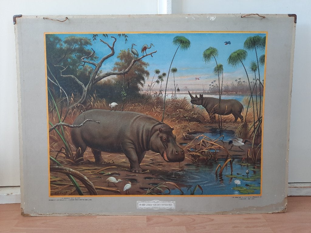 M.A. Koekoek. In het gebied van den boven nijl., Ophalen, Natuur en Biologie