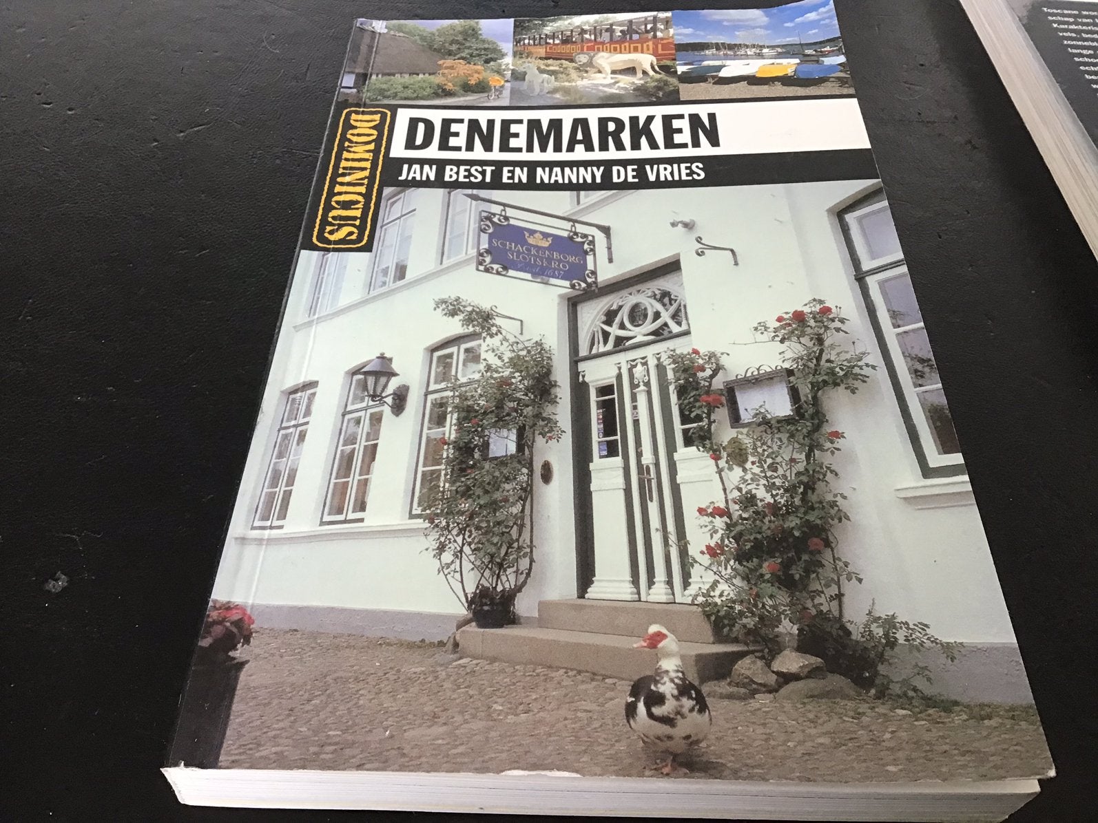 Reisgids Denemarken, Europa, Ophalen of Verzenden, Reisgids of -boek, Gelezen