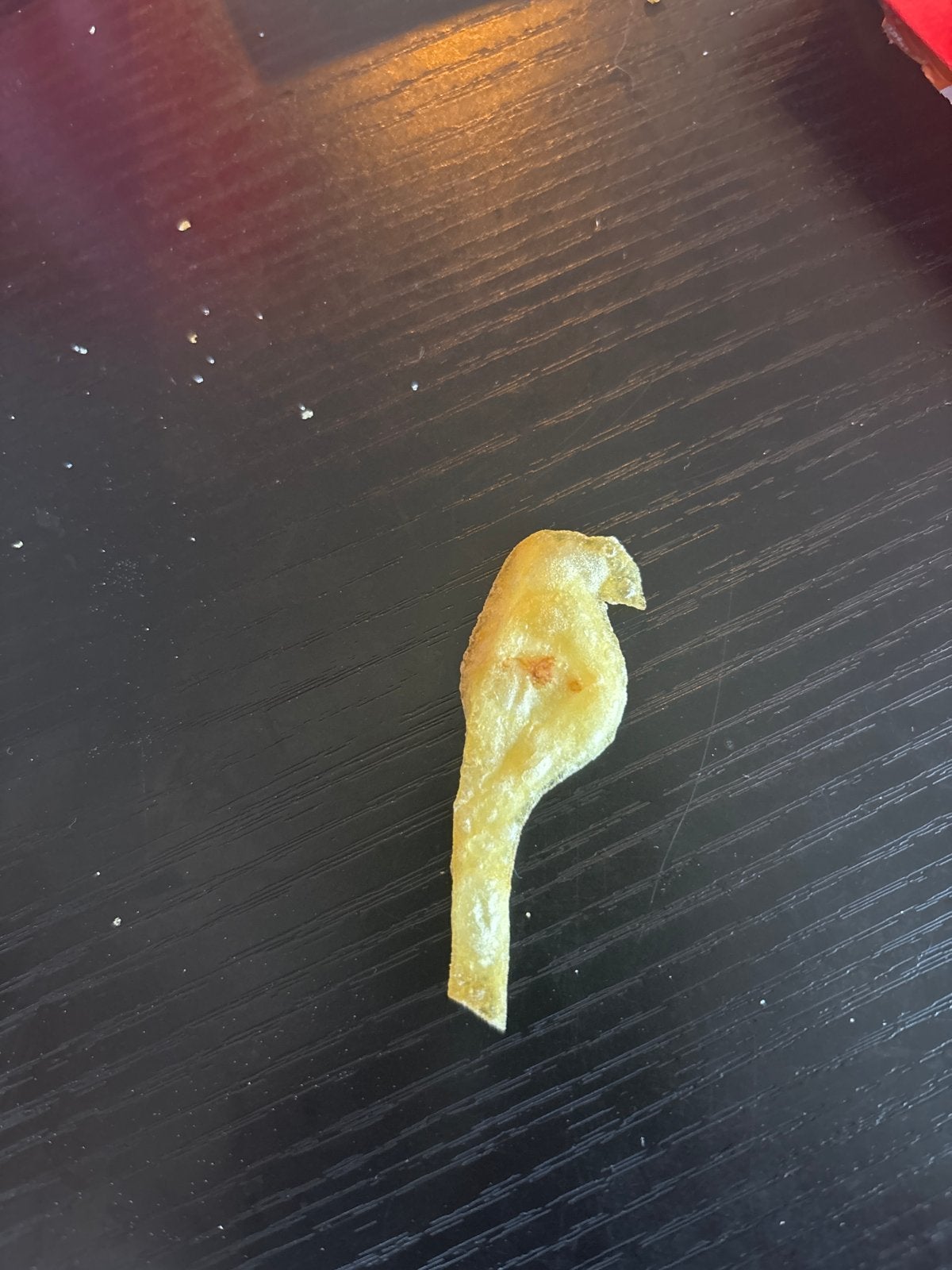 Unieke Friet in Vogelvorm - Een Zeldzame Vondst!, Ophalen of Verzenden, Zo goed als nieuw
