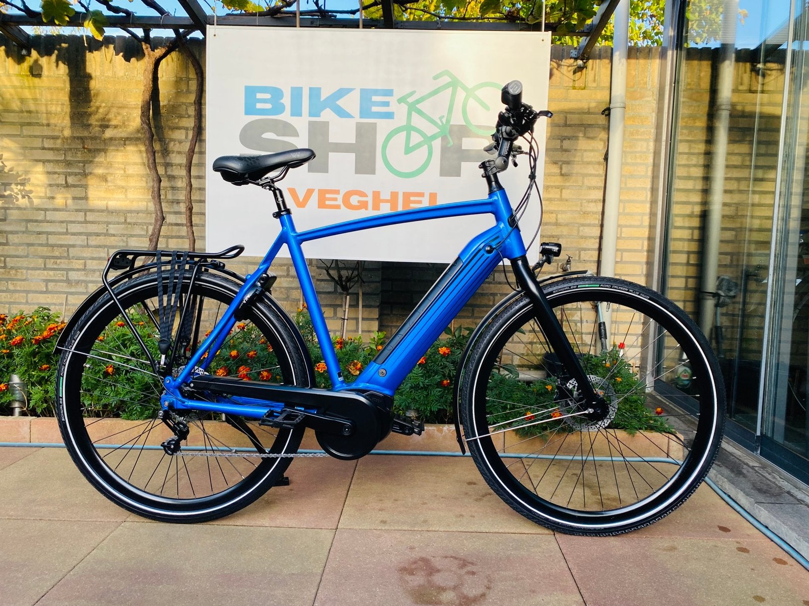 Elektrische Gazelle Cityzen C8+Bosch Middenmo ActiveLinePlus