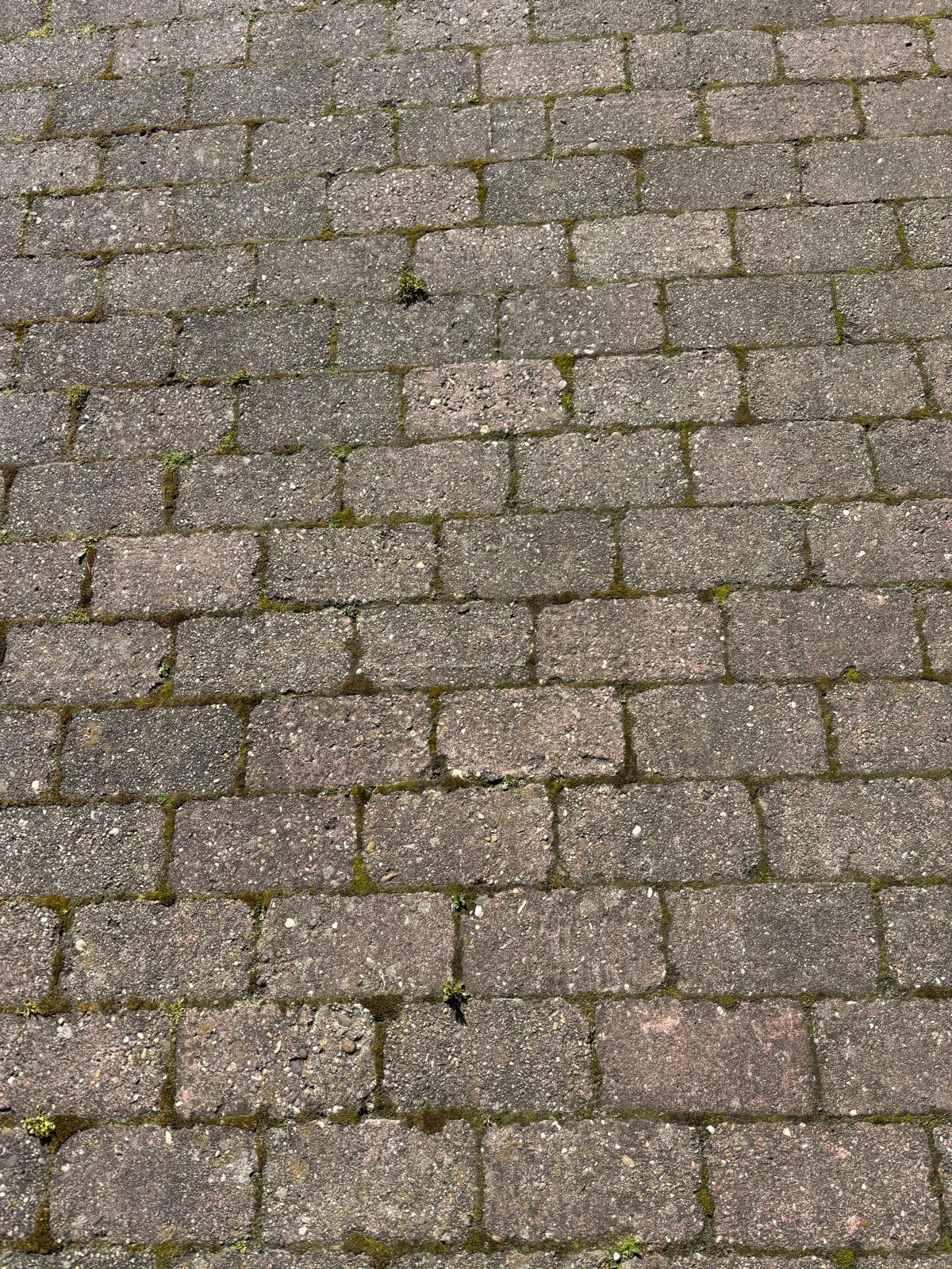 Gebruikte betonnen klinkers voor bestrating, Ophalen, Gebruikt, Klinkers, 10 m² of meer