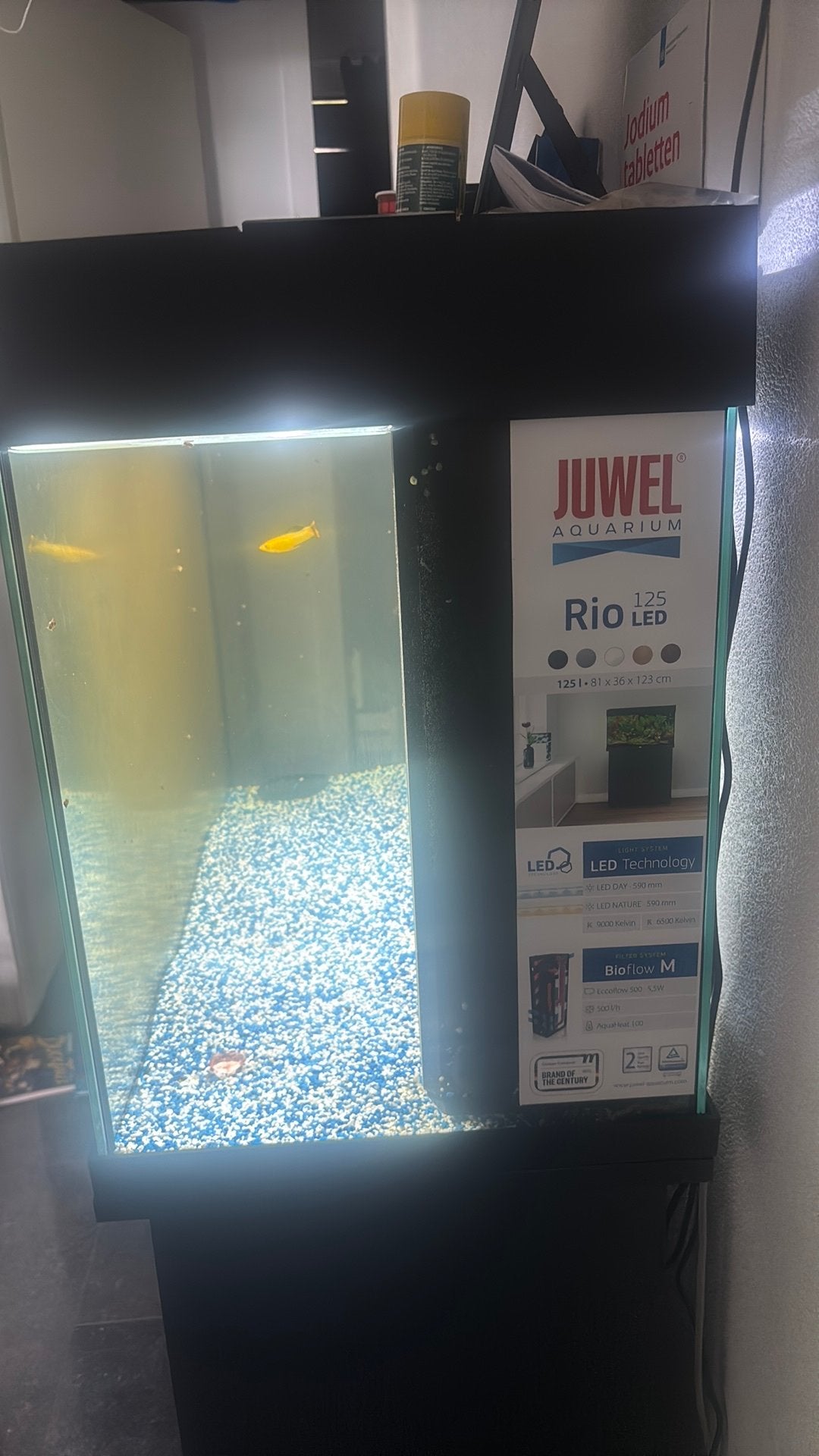 Aquarium juwel merk, Dieren en Toebehoren, Vissen | Aquariumvissen, Vis