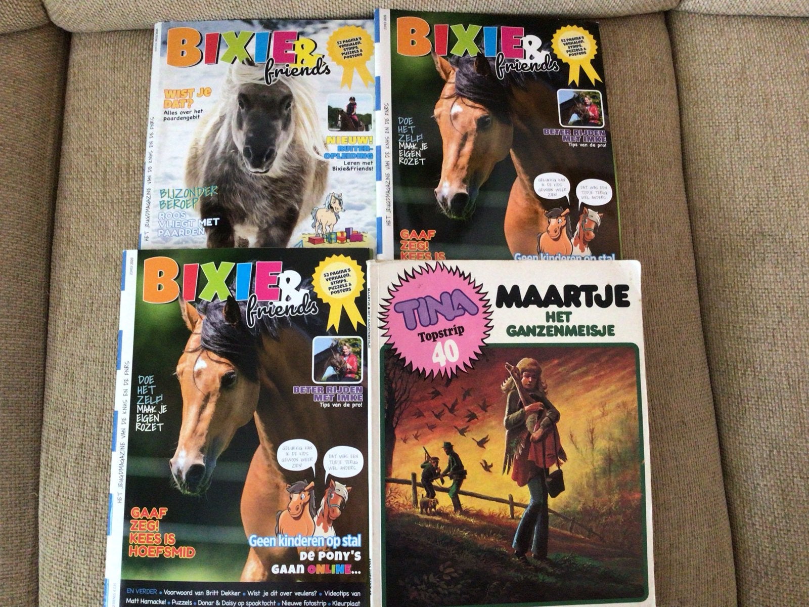 Bixie & Friends en Tina Maartje Het Ganzenmeisje, Ophalen of Verzenden, Gelezen, Overige typen