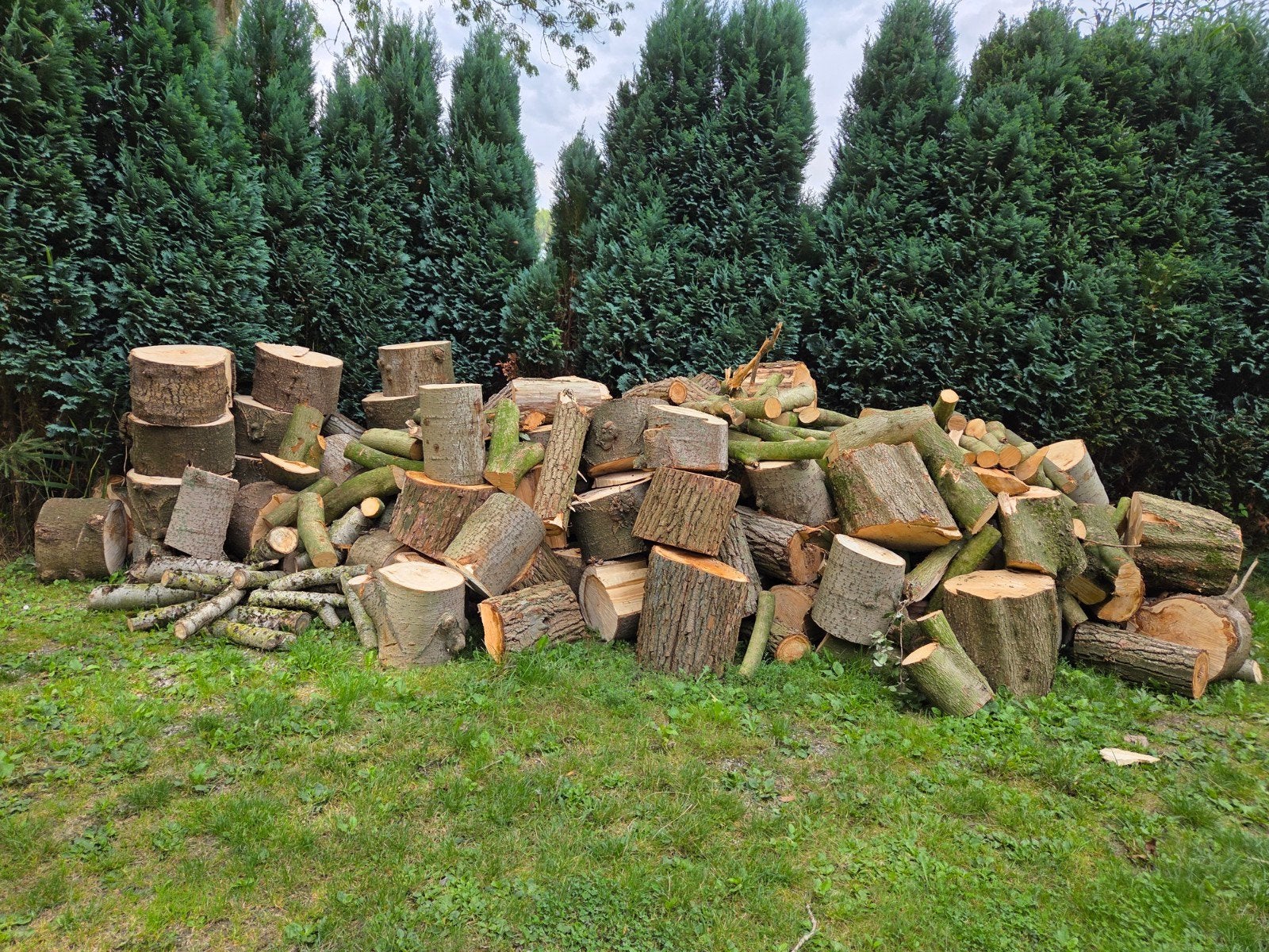 stookhout diverse soorten doorelkaar, 6 m³ of meer, Ophalen, Overige houtsoorten