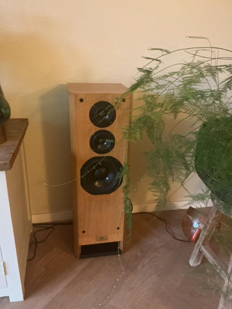 T+A Criterion TMR 60 speakers, Gebruikt, 60 tot 120 watt, Front, Rear of Stereo speakers, Ophalen