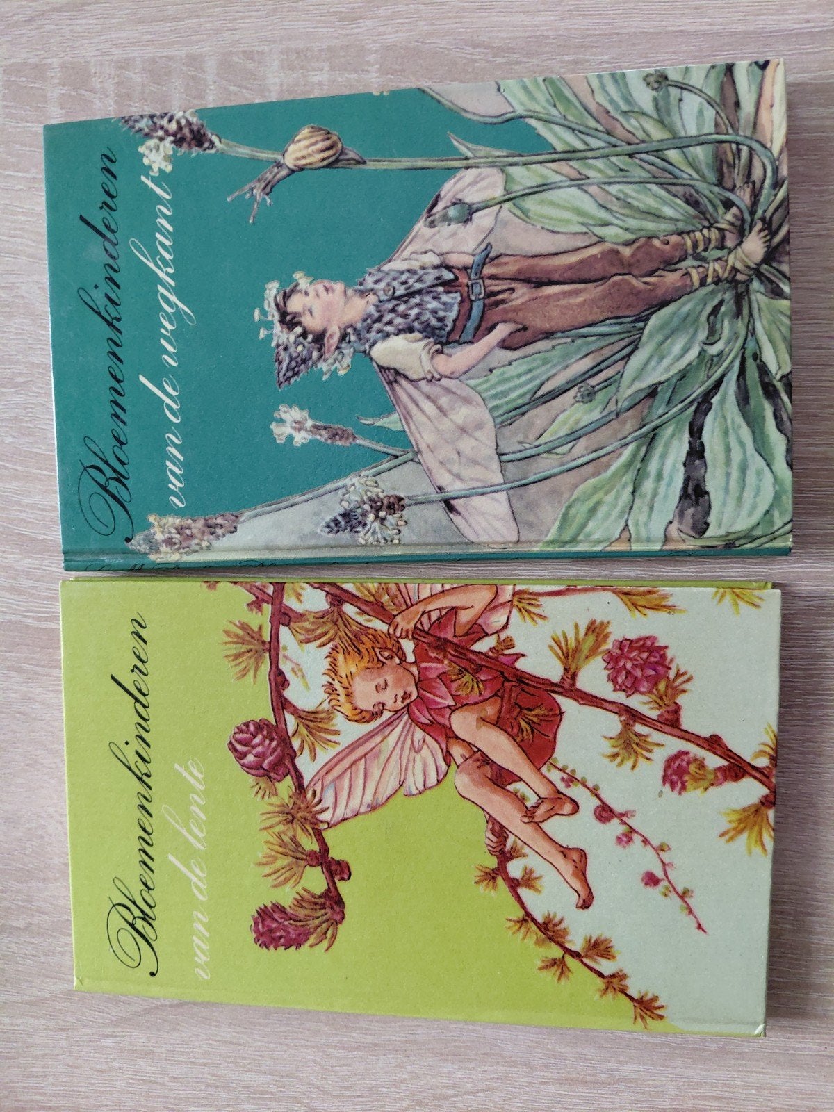 Bloemenkinderen van de Lente & van de Wegkant - 2 boeken, Ophalen of Verzenden, Gelezen, Cicely Mary Barker, 3 tot 4 jaar