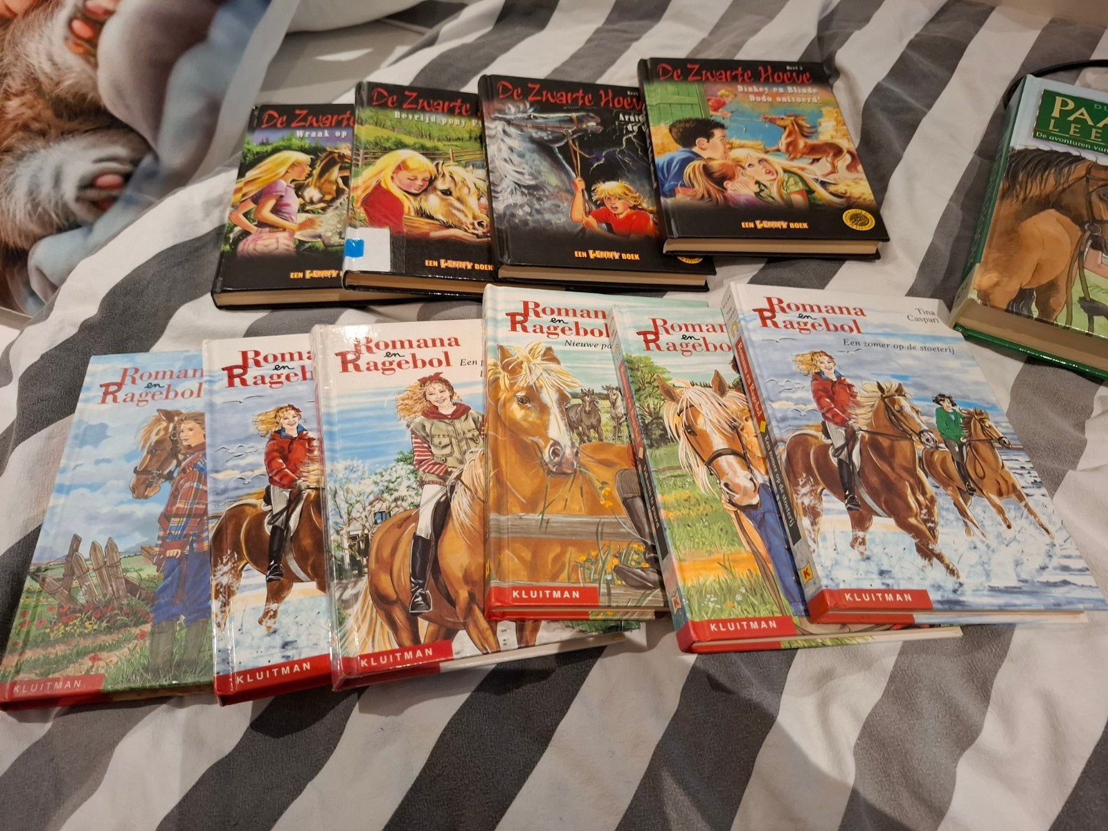 20 paardenboeken: De Zwarte Hoeve, Romana en Ragebol en meer, Ophalen of Verzenden, Gelezen, Fictie algemeen