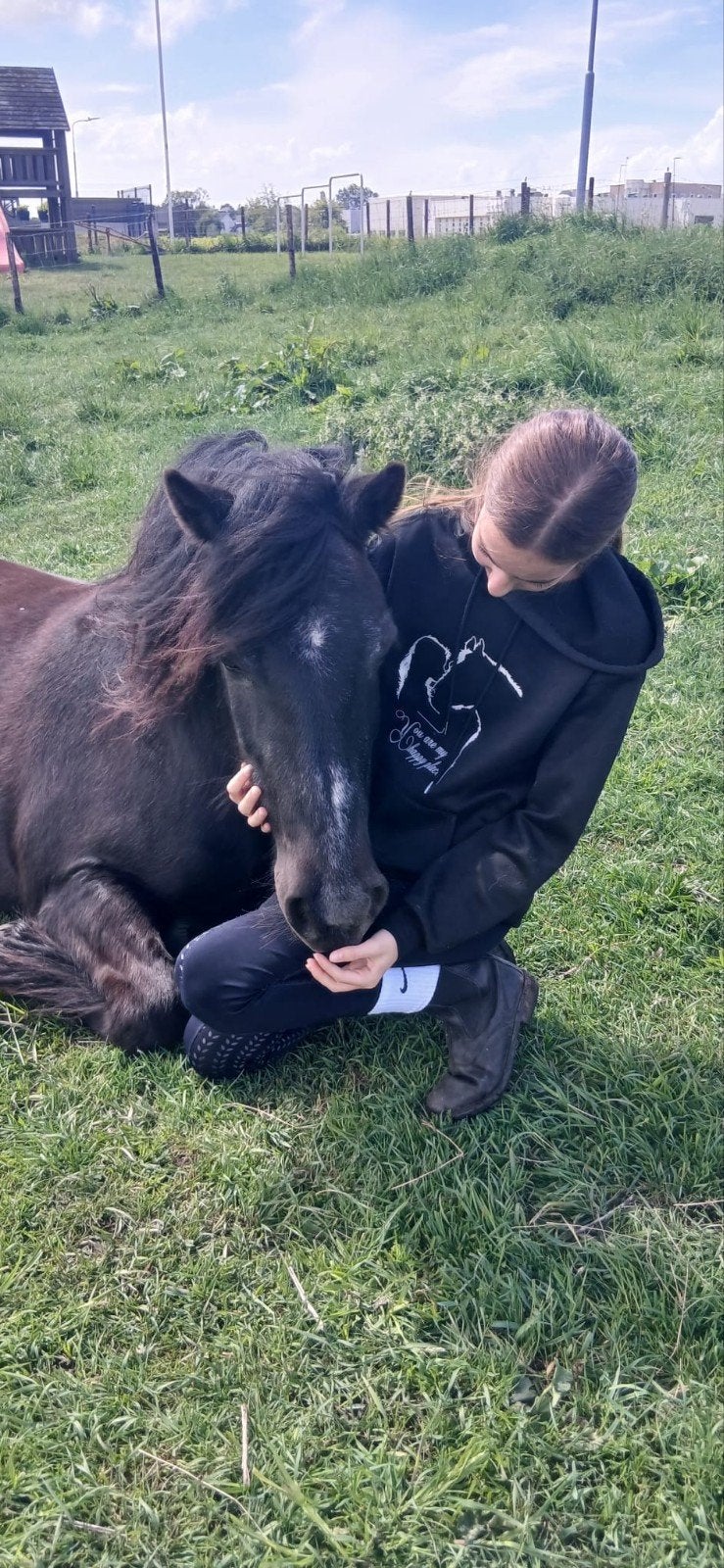 verzorgster/bijrijdster aangeboden!, Dieren en Toebehoren, Ophalen of Verzenden