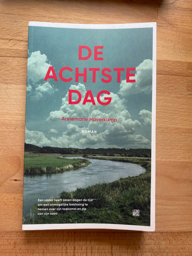 De Achtste Dag - Annemarie Haverkamp (Roman), Boeken, Romans, Zo goed als nieuw, Nederland, Ophalen of Verzenden