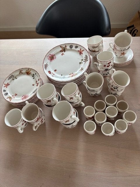 Redelijk compleet servies Janneke Brinkman seasons herfst, Overige merken, Ophalen of Verzenden, Zo goed als nieuw, Overige stijlen