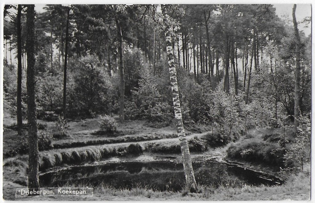 Driebergen Koekepan Oude Ongelopen Ansichtkaart ( B3354 ), Ophalen of Verzenden, 1960 tot 1980, Gelopen, Utrecht