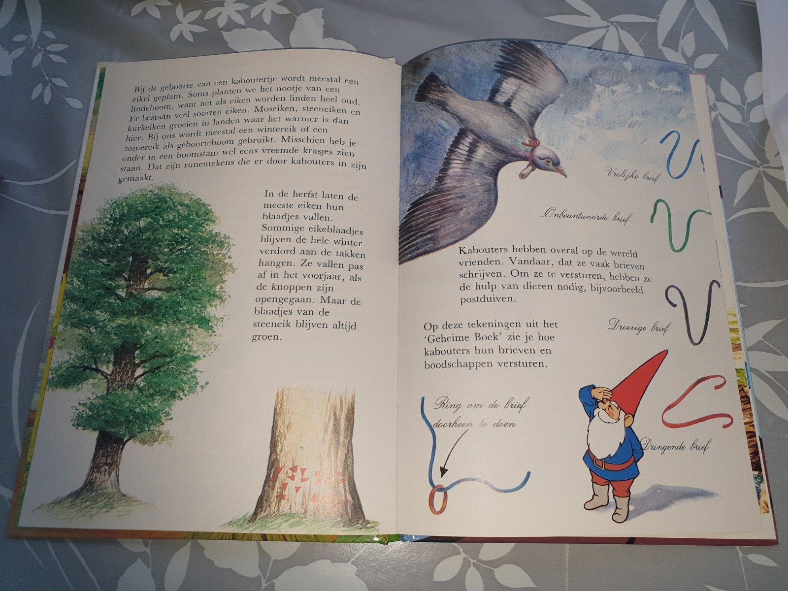 De Wereld van David de Kabouter, Boeken, Ophalen of Verzenden, Zo goed als nieuw, Wil Huygen, Sprookjes