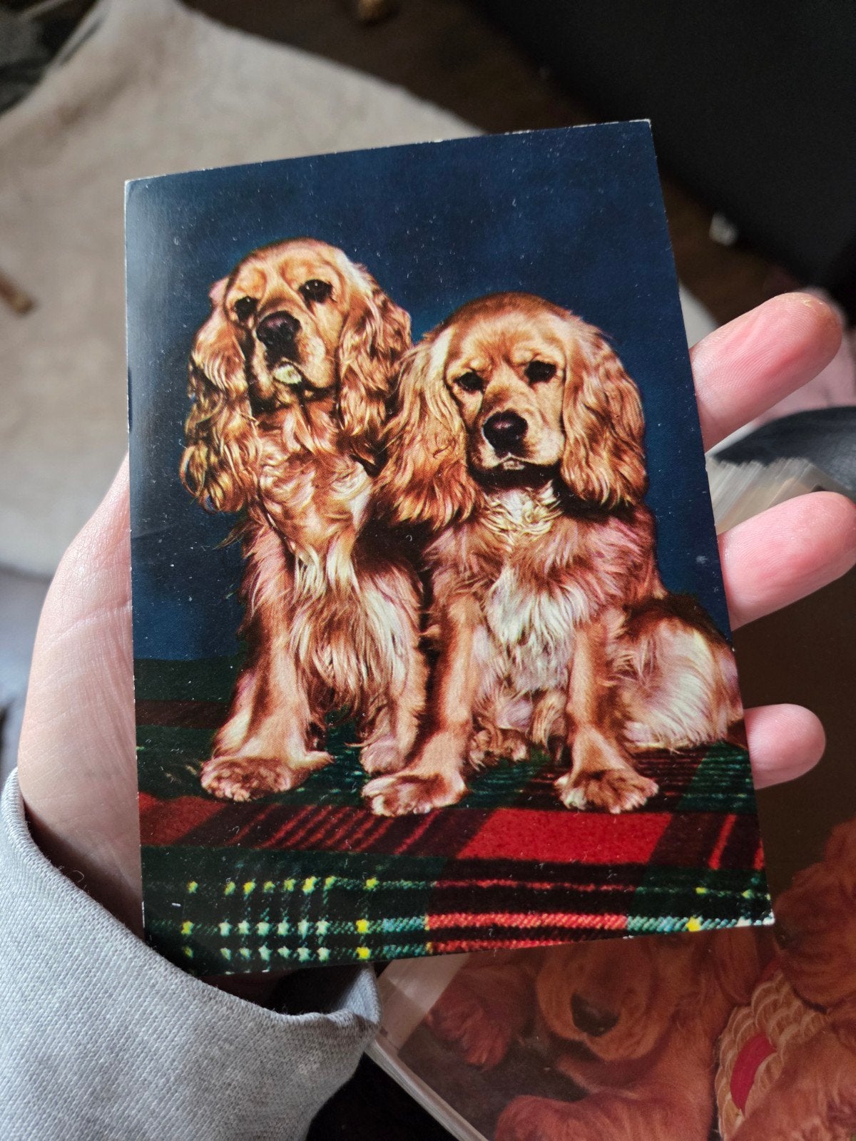 Vintage Ansichtkaart: Twee Cocker Spaniels, Ophalen of Verzenden, 1940 tot 1960, Gelopen, Hond of Kat