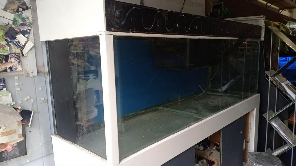 Groot Zeeaquarium 2 m – Kast met Afgeschuimer Incl., Ophalen, Leeg aquarium