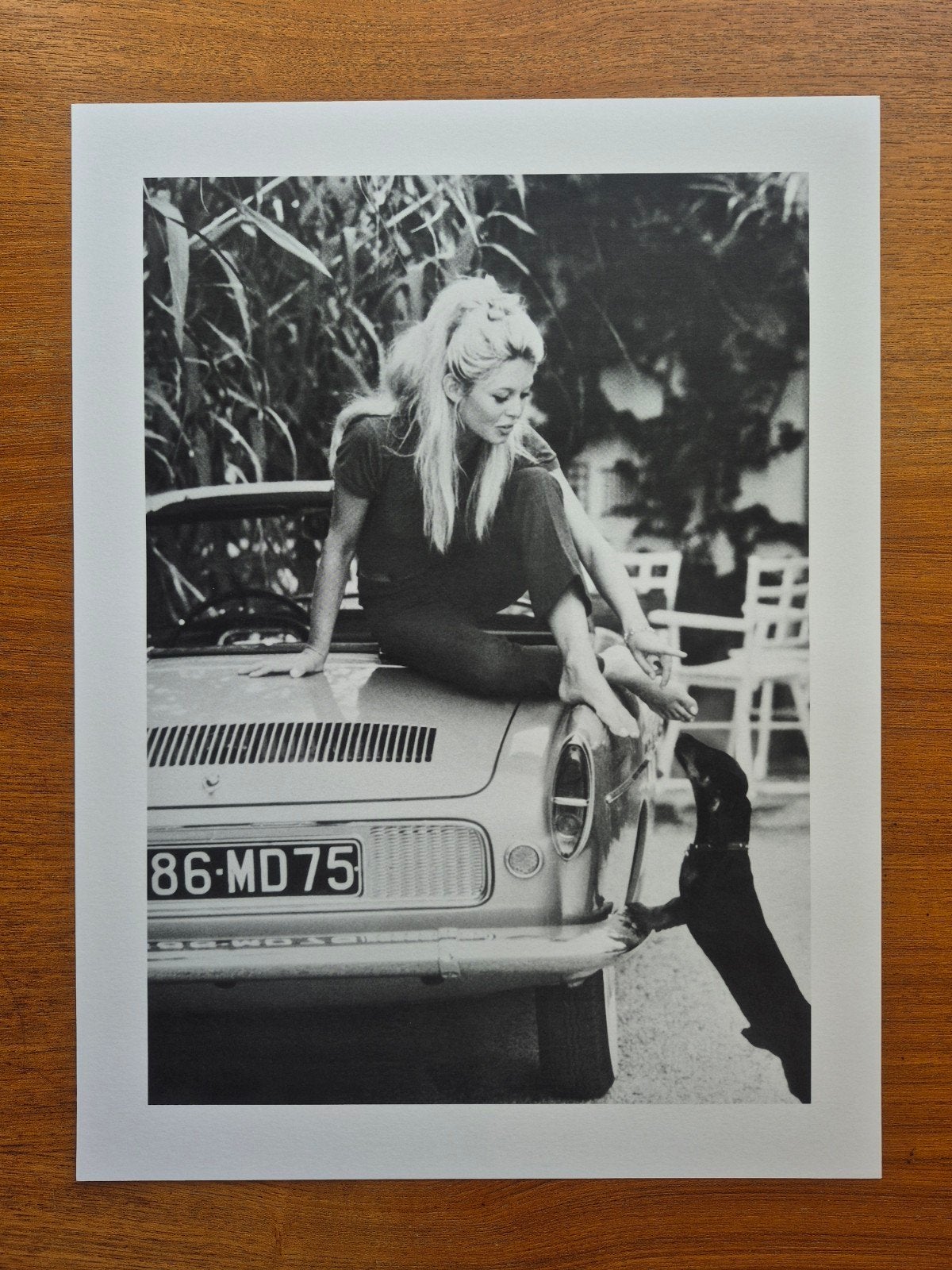 Desenio Poster Brigitte Bardot met hond 30x40 cm, Antiek en Kunst, Ophalen of Verzenden, Poster, Fotografie