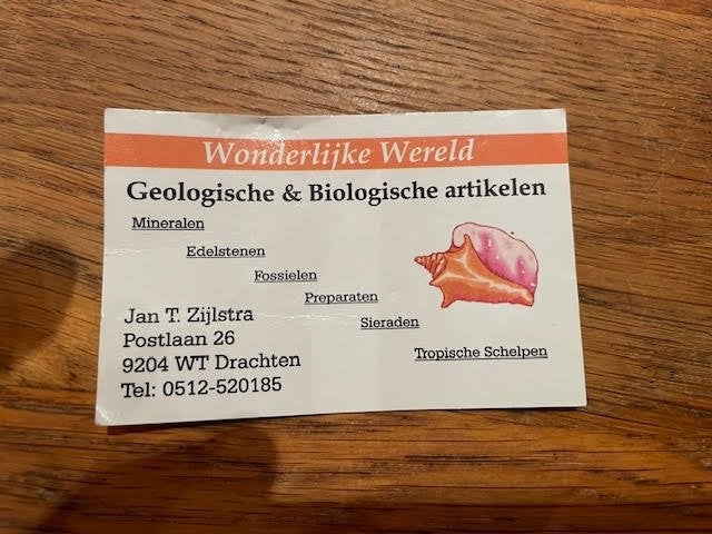 ZWARTE VOGELSPIN in zwarte lijst  25 euro, Verzamelen, Ophalen of Verzenden, Zo goed als nieuw, Overige soorten, Opgezet dier