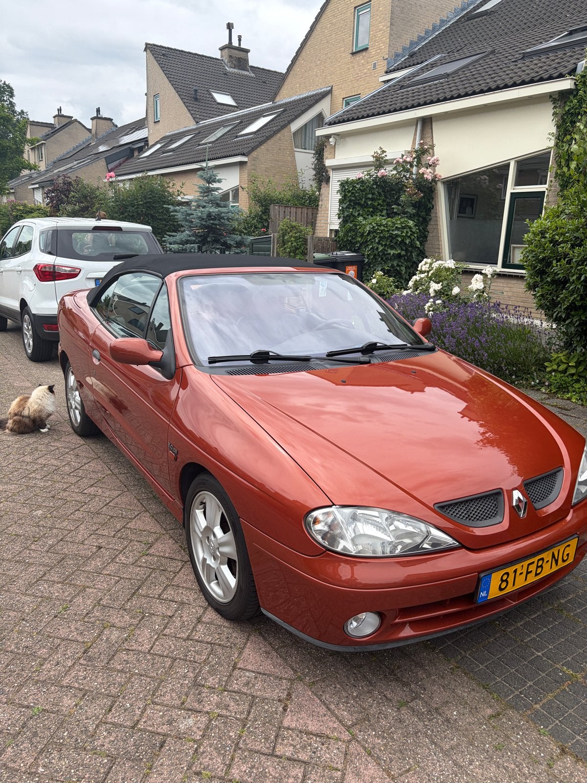 Renault Mégane 2.0 16V IDE Cabriolet 2000, Auto's, 1998 cc, Cabriolet, Origineel Nederlands, Handgeschakeld