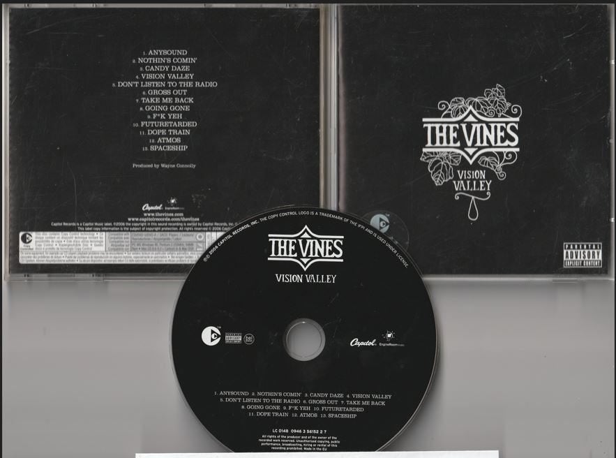 The Vines - Vision Valley, Ophalen of Verzenden, Zo goed als nieuw, Indie Rock
