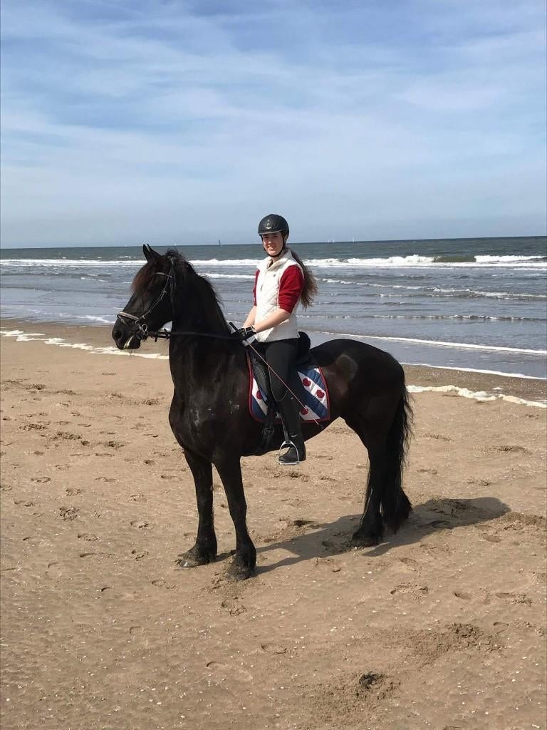 Aangeboden: Bijrijder/verzorger paard, Dieren en Toebehoren, Paarden en Pony's | Overige Paardenspullen, Ophalen, Nieuw, Recreatie