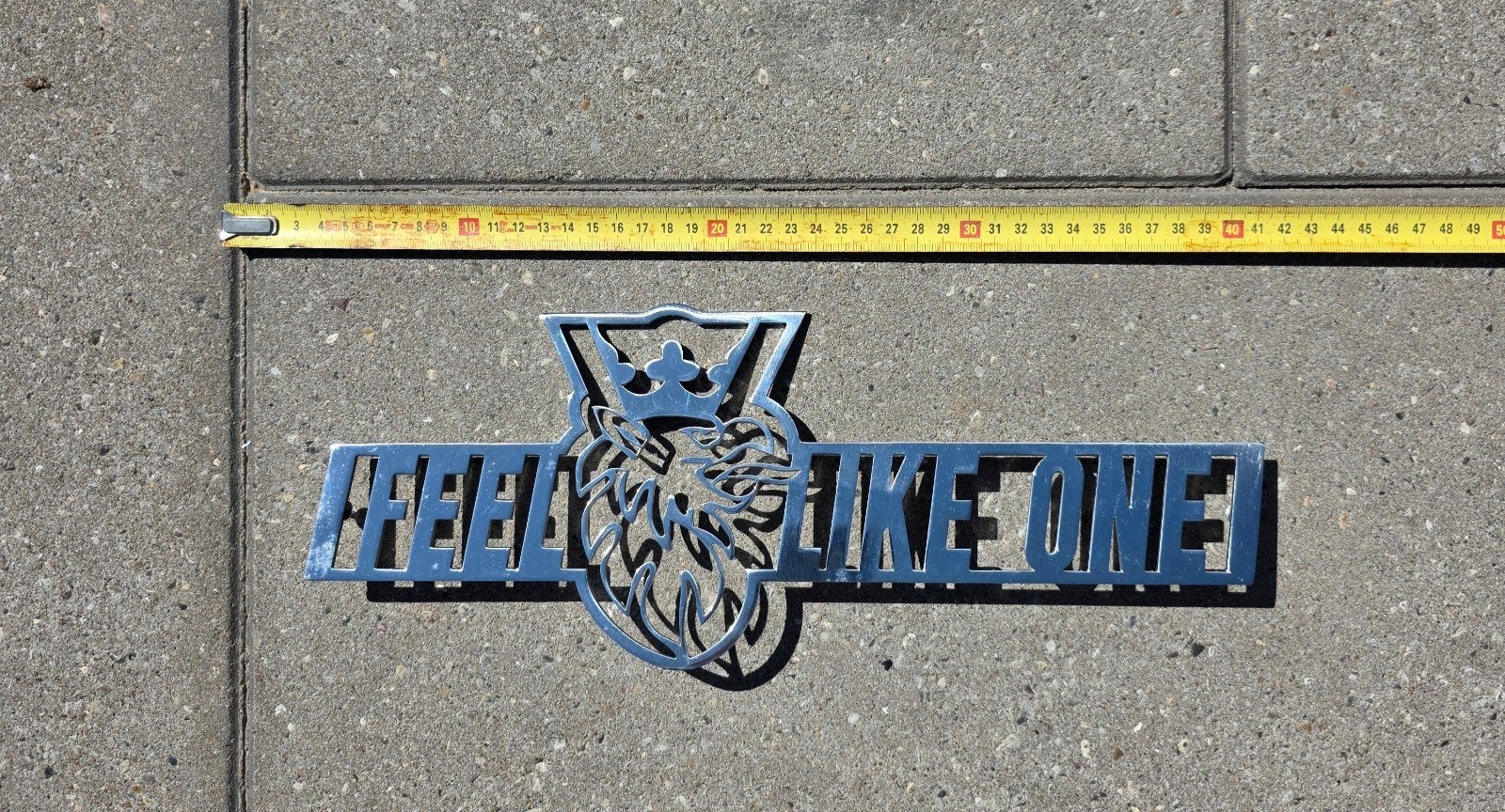 Scania feel like one logo RVS, Ophalen of Verzenden