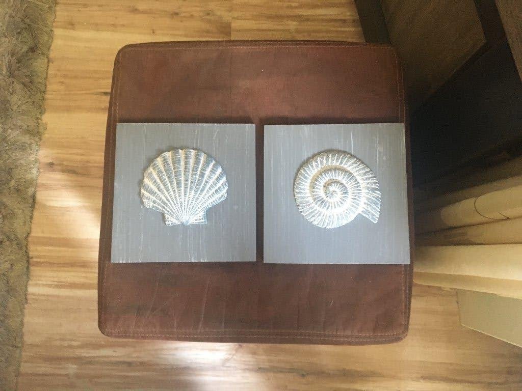 2 hele mooie schelpen op grijze houten plaat, Ophalen, Schelp(en)