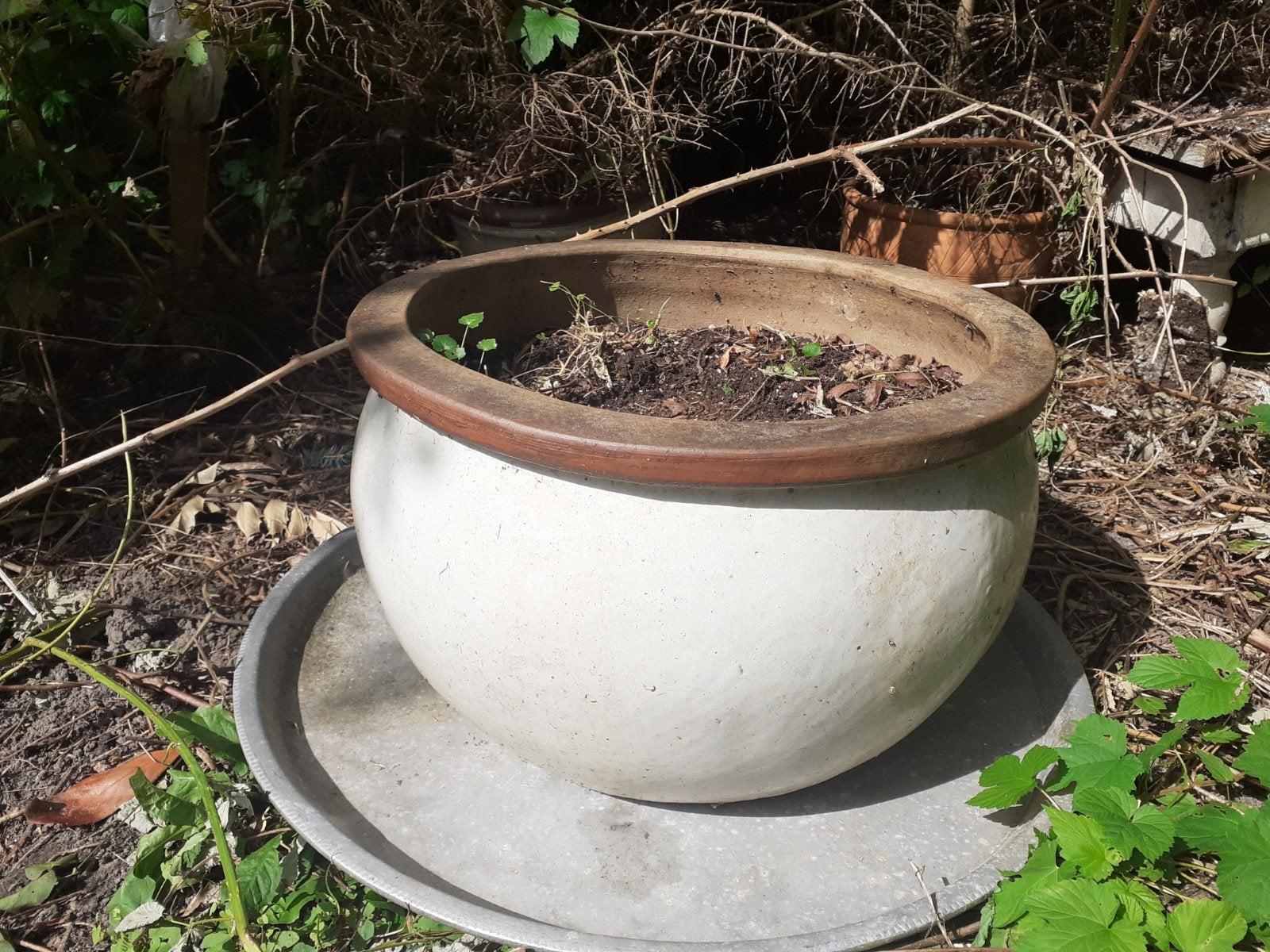 Terracotta pot groot, Ophalen, Zo goed als nieuw, Beton, Waterornament