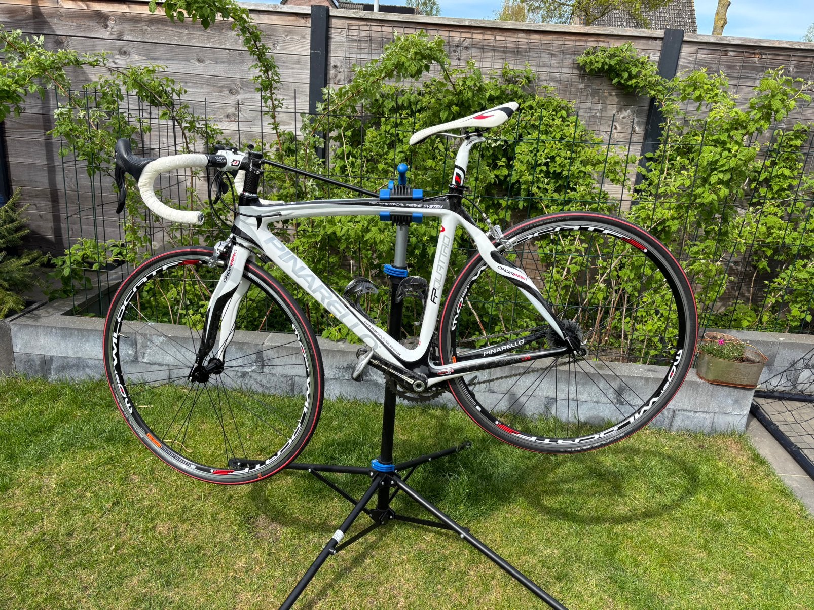 Pinarello FP Quattro full carbon frame maat 53, Carbon, Zo goed als nieuw, Meer dan 20 versnellingen, 53 tot 57 cm