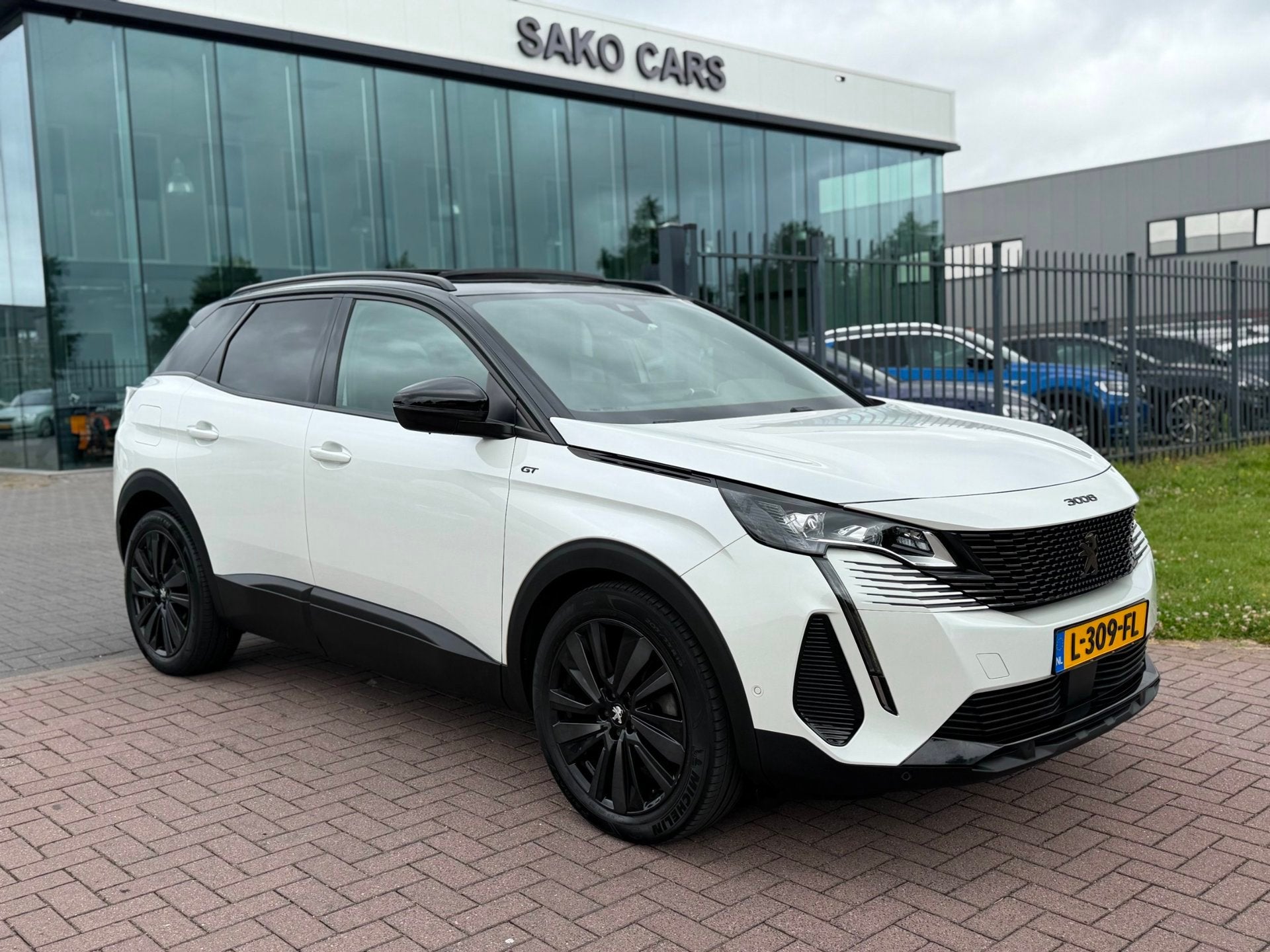 Peugeot 3008