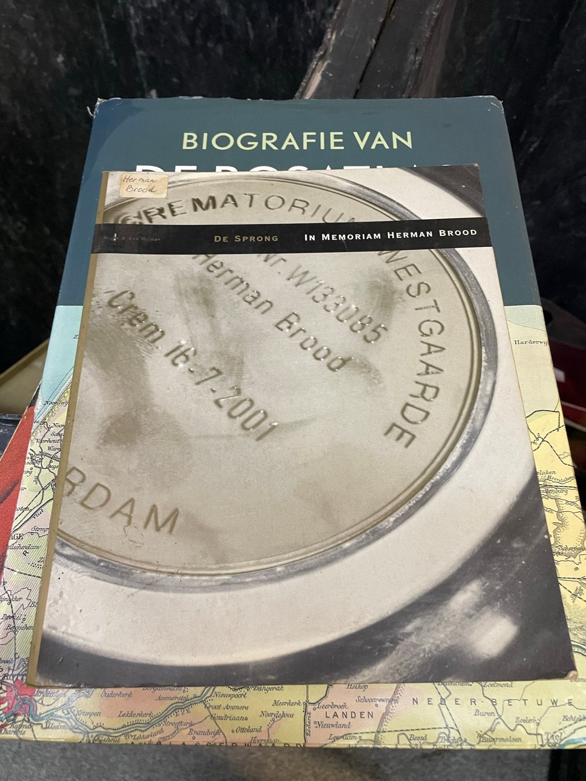 De Sprong - In Memoriam Herman Brood Biografie, Ophalen of Verzenden, Gelezen, Kunst en Cultuur