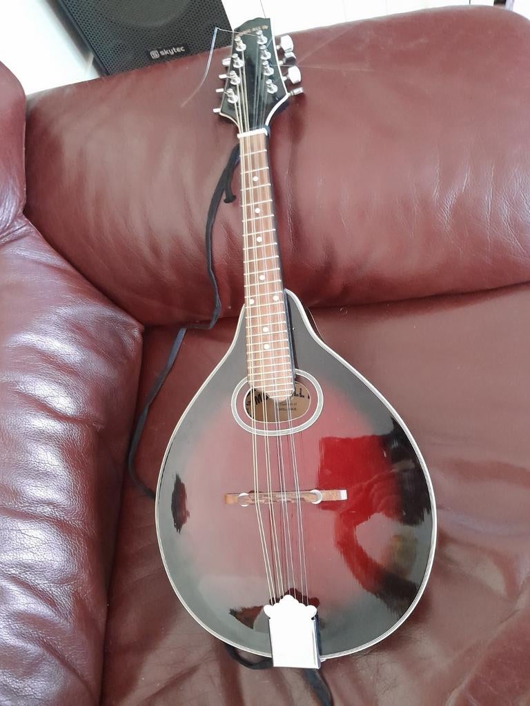Mandoline, Muziek en Instrumenten, Ophalen of Verzenden, Klassieke of Spaanse gitaar