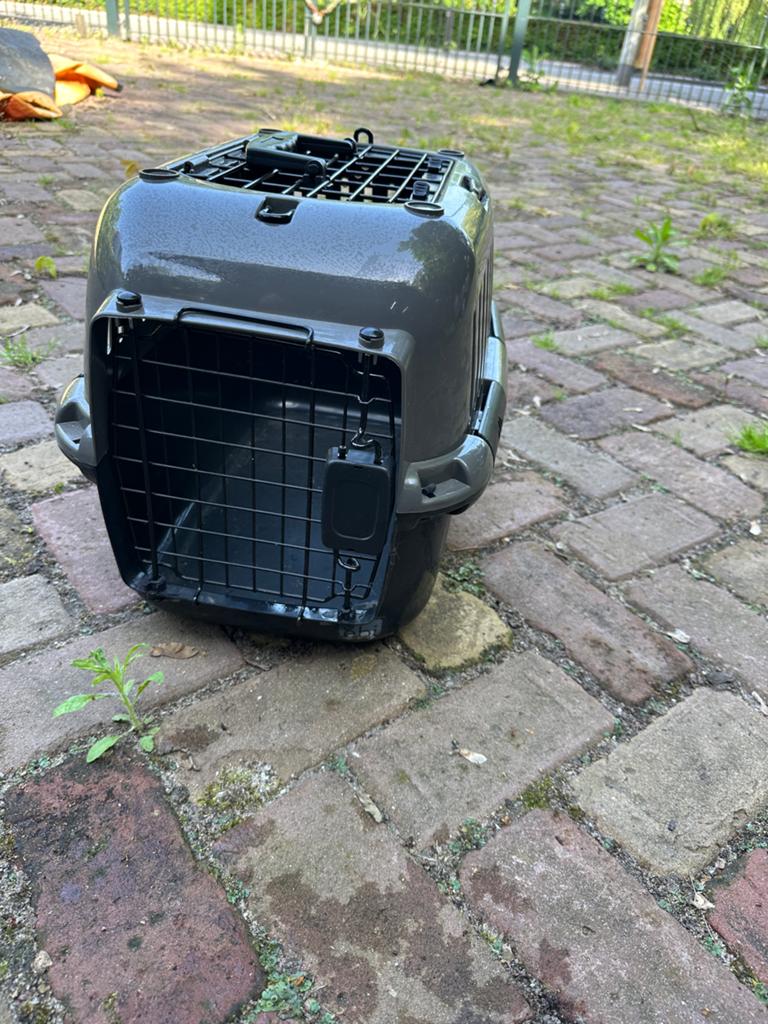 Kleine draagmand 1x gebruikt, Ophalen, Zo goed als nieuw