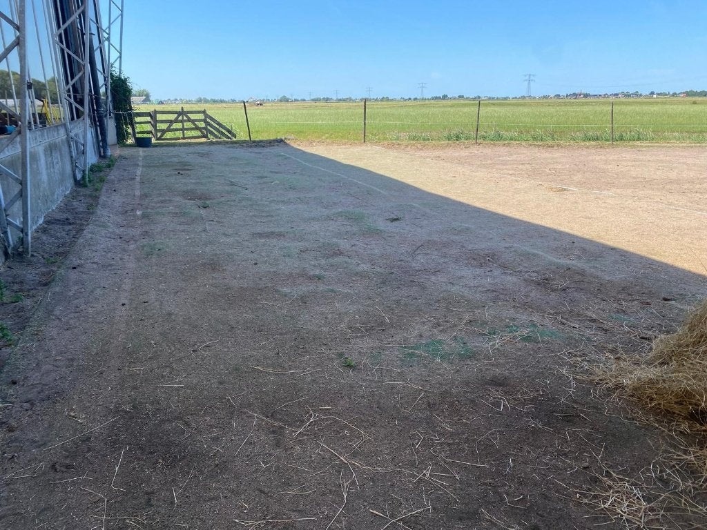 GRATIS 5 rollen gebruikt kunstgras > 200 m2, Ophalen, Gebruikt, 20 m² of meer, Kunstgras