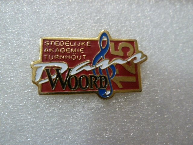 Pin Stedelijke Academie Turnhout Woord 125 Jaar, Ophalen of Verzenden, Zo goed als nieuw, Overige onderwerpen, Speldje of Pin